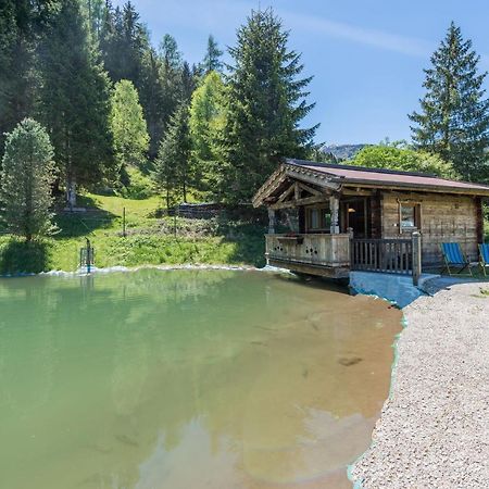 Almliesl Holl-559 Villa Hollersbach im Pinzgau Bagian luar foto