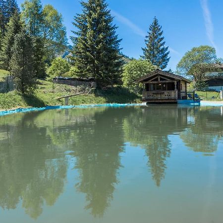 Almliesl Holl-559 Villa Hollersbach im Pinzgau Bagian luar foto