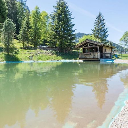 Almliesl Holl-559 Villa Hollersbach im Pinzgau Bagian luar foto