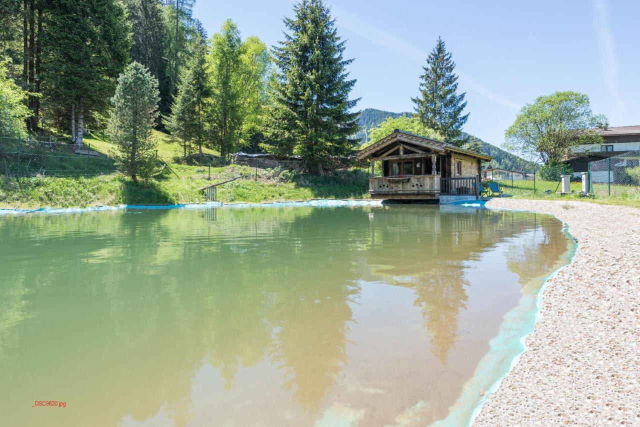 Almliesl Holl-559 Villa Hollersbach im Pinzgau Bagian luar foto